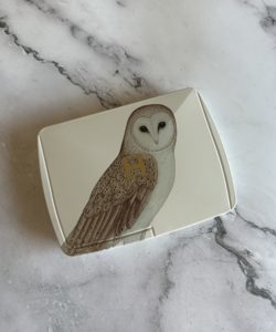 Hourglass Ambient Holiday Palette 2023 Owl Cover